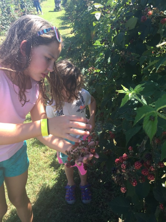 UNADJUSTEDNONRAW_thumb_2fa